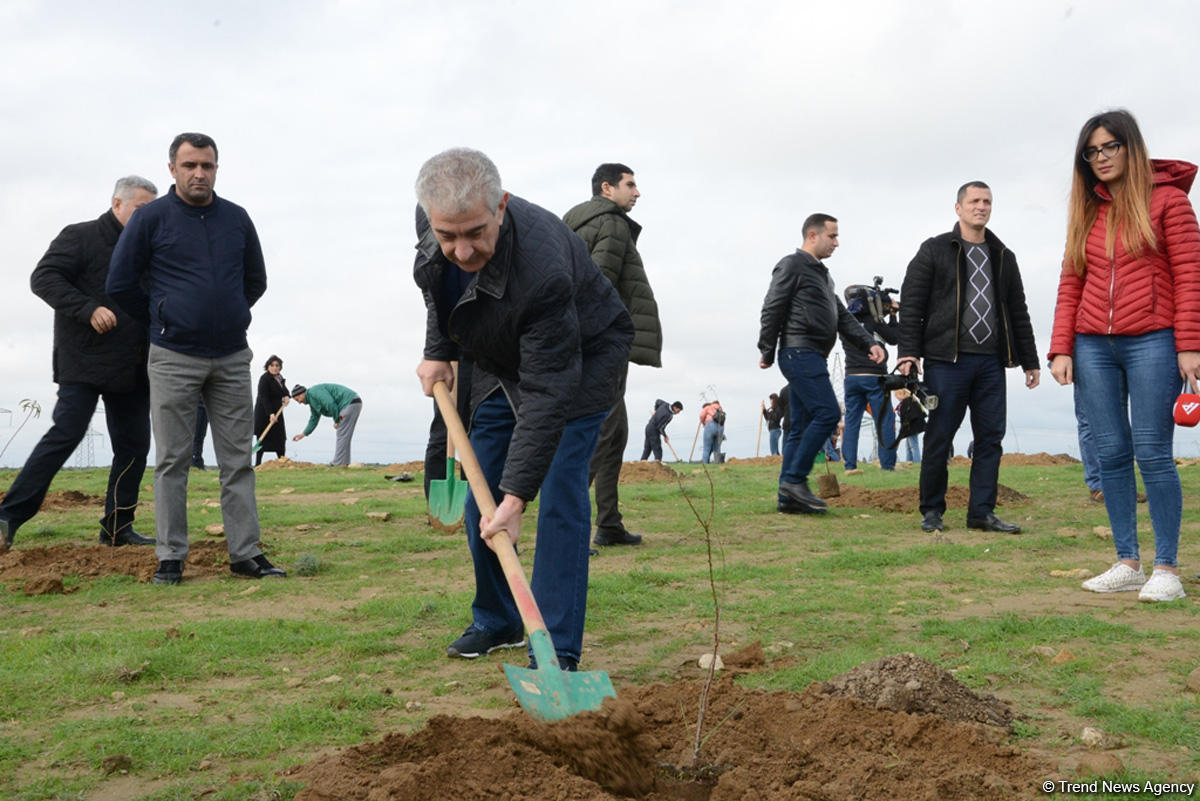 YAP “Hərəyə bir ağac əkək” kampaniyasına start verdi (FOTO)