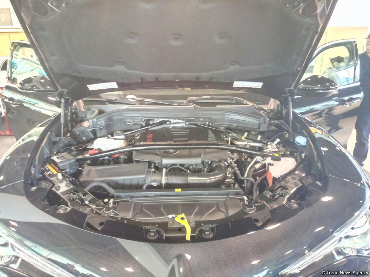 Bakıda "Alfa Romeo"nun ilk SUV modeli təqdim edildi (FOTO)
