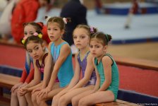 İdman və akrobatika gimnastikası üzrə Azərbaycan çempionatının ikinci günü başlayıb (FOTO)