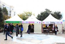 "Sweet November" Bakı yemək festivalı başlayıb (FOTO)