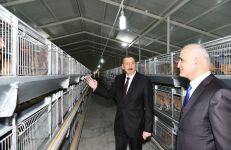 Prezident İlham Əliyev Sabirabadda Nizami kəndində quşçuluq fabrikinin fəaliyyəti ilə tanış olub (FOTO)