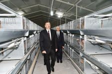Prezident İlham Əliyev Sabirabadda Nizami kəndində quşçuluq fabrikinin fəaliyyəti ilə tanış olub (FOTO)
