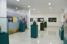 Azərbaycan Prezidenti Tərtər Tarix-Diyarşünaslıq Muzeyinin açılışında iştirak edib (FOTO)