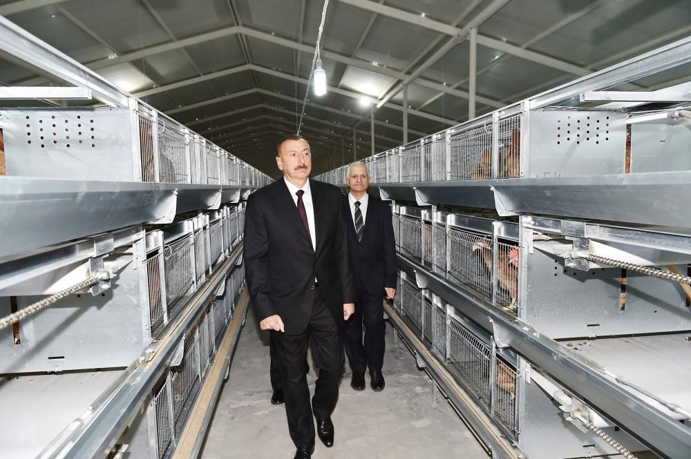 Prezident İlham Əliyev Sabirabadda Nizami kəndində quşçuluq fabrikinin fəaliyyəti ilə tanış olub (FOTO)