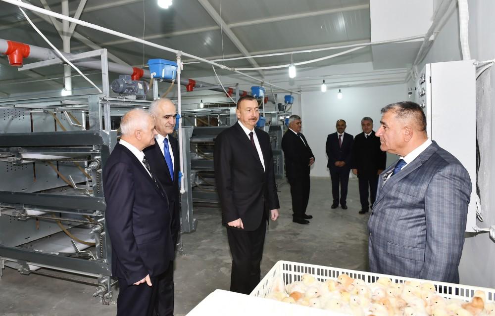 Prezident İlham Əliyev Sabirabadda Nizami kəndində quşçuluq fabrikinin fəaliyyəti ilə tanış olub (FOTO)
