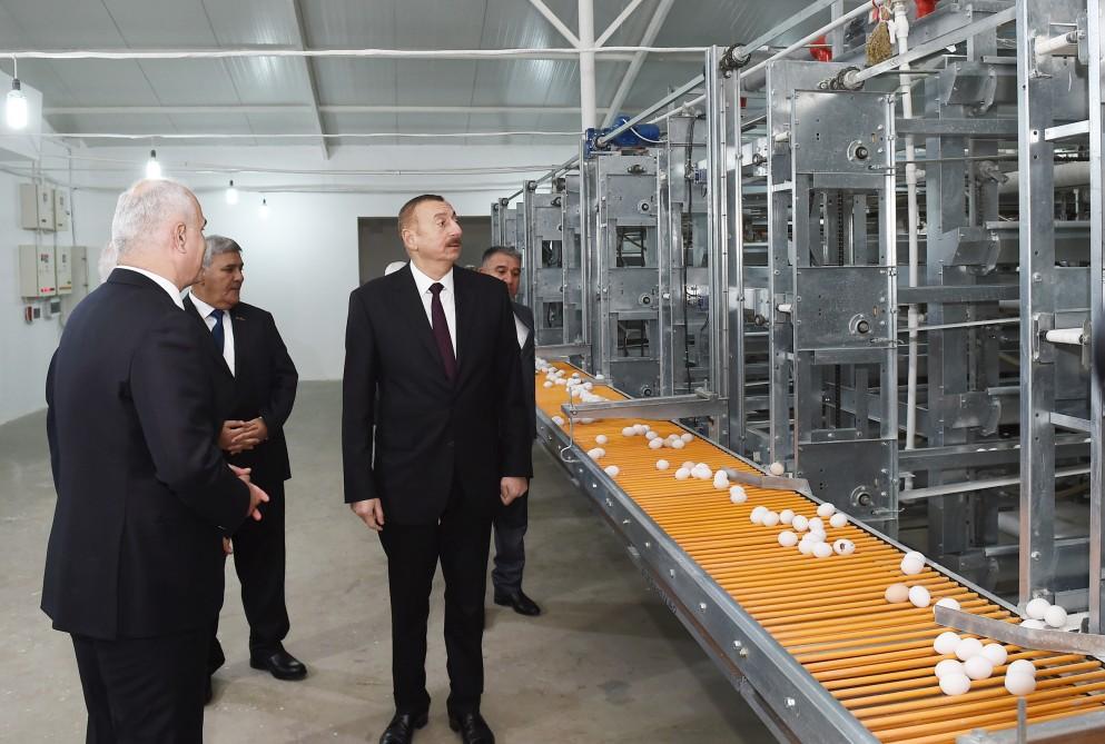 Prezident İlham Əliyev Sabirabadda Nizami kəndində quşçuluq fabrikinin fəaliyyəti ilə tanış olub (FOTO)