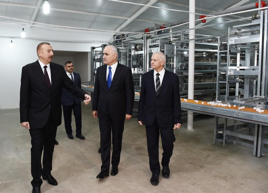 Prezident İlham Əliyev Sabirabadda Nizami kəndində quşçuluq fabrikinin fəaliyyəti ilə tanış olub (FOTO)