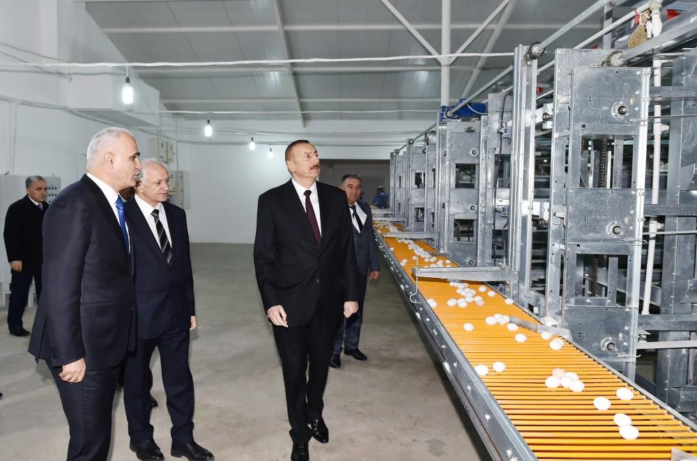 Prezident İlham Əliyev Sabirabadda Nizami kəndində quşçuluq fabrikinin fəaliyyəti ilə tanış olub (FOTO)