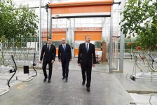 Prezident İlham Əliyev Zirə qəsəbəsində “BAKU AGROPARK”da görülən işlərlə tanış olub (FOTO) (YENİLƏNİB-2)