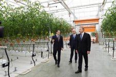Prezident İlham Əliyev Zirə qəsəbəsində “BAKU AGROPARK”da görülən işlərlə tanış olub (FOTO) (YENİLƏNİB-2)