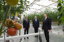 Prezident İlham Əliyev Zirə qəsəbəsində “BAKU AGROPARK”da görülən işlərlə tanış olub (FOTO) (YENİLƏNİB-2)