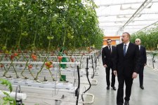 Prezident İlham Əliyev Zirə qəsəbəsində “BAKU AGROPARK”da görülən işlərlə tanış olub (FOTO) (YENİLƏNİB-2)