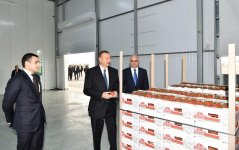 Prezident İlham Əliyev Zirə qəsəbəsində “BAKU AGROPARK”da görülən işlərlə tanış olub (FOTO) (YENİLƏNİB-2)