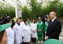 Prezident İlham Əliyev Zirə qəsəbəsində “BAKU AGROPARK”da görülən işlərlə tanış olub (FOTO) (YENİLƏNİB-2)