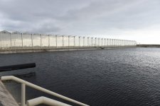 Prezident İlham Əliyev Zirə qəsəbəsində “BAKU AGROPARK”da görülən işlərlə tanış olub (FOTO) (YENİLƏNİB-2)