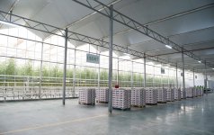 Prezident İlham Əliyev Zirə qəsəbəsində “BAKU AGROPARK”da görülən işlərlə tanış olub (FOTO) (YENİLƏNİB-2)