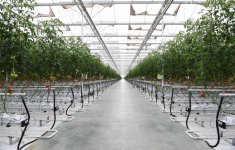 Prezident İlham Əliyev Zirə qəsəbəsində “BAKU AGROPARK”da görülən işlərlə tanış olub (FOTO) (YENİLƏNİB-2)