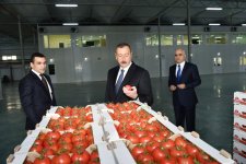 Prezident İlham Əliyev Zirə qəsəbəsində “BAKU AGROPARK”da görülən işlərlə tanış olub (FOTO) (YENİLƏNİB-2)
