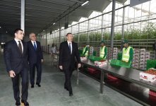 Prezident İlham Əliyev Zirə qəsəbəsində “BAKU AGROPARK”da görülən işlərlə tanış olub (FOTO) (YENİLƏNİB-2)