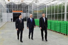 Prezident İlham Əliyev Zirə qəsəbəsində “BAKU AGROPARK”da görülən işlərlə tanış olub (FOTO) (YENİLƏNİB-2)
