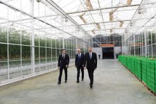 Prezident İlham Əliyev Zirə qəsəbəsində “BAKU AGROPARK”da görülən işlərlə tanış olub (FOTO) (YENİLƏNİB-2)