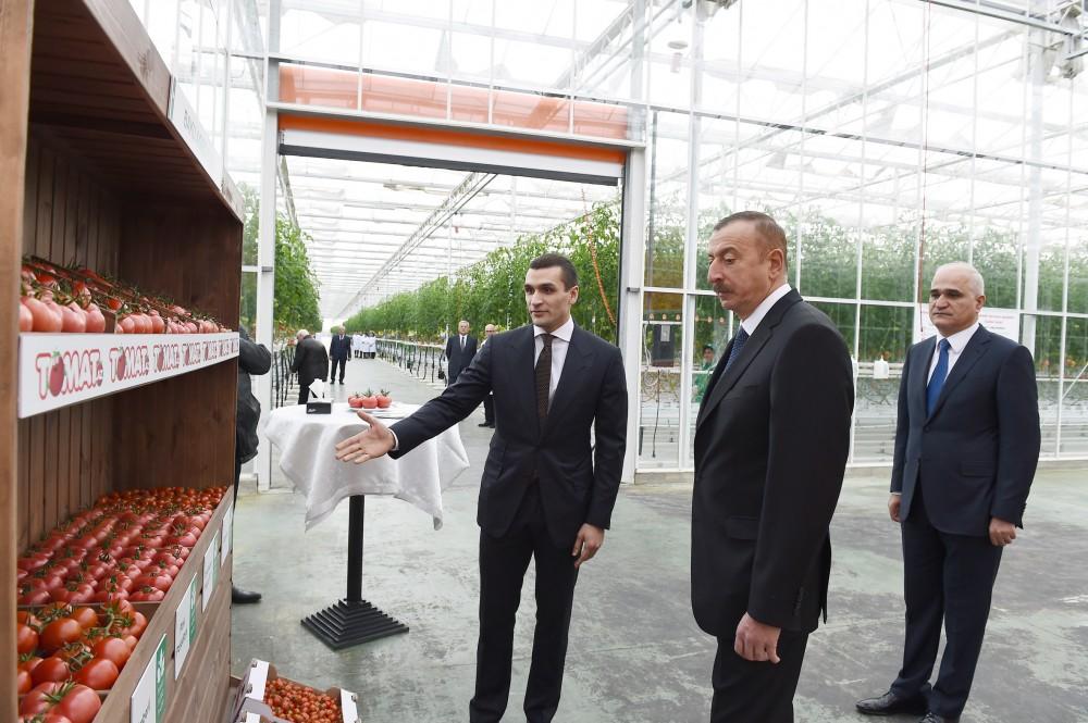 Prezident İlham Əliyev Zirə qəsəbəsində “BAKU AGROPARK”da görülən işlərlə tanış olub (FOTO) (YENİLƏNİB-2)