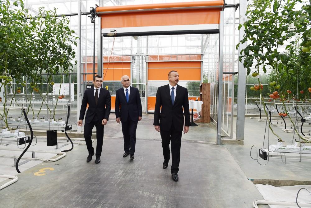 Prezident İlham Əliyev Zirə qəsəbəsində “BAKU AGROPARK”da görülən işlərlə tanış olub (FOTO) (YENİLƏNİB-2)