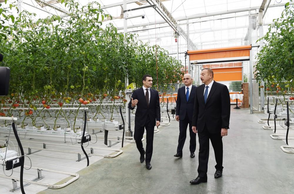 Prezident İlham Əliyev Zirə qəsəbəsində “BAKU AGROPARK”da görülən işlərlə tanış olub (FOTO) (YENİLƏNİB-2)