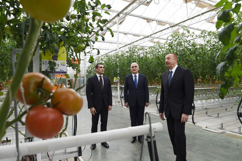 Prezident İlham Əliyev Zirə qəsəbəsində “BAKU AGROPARK”da görülən işlərlə tanış olub (FOTO) (YENİLƏNİB-2)