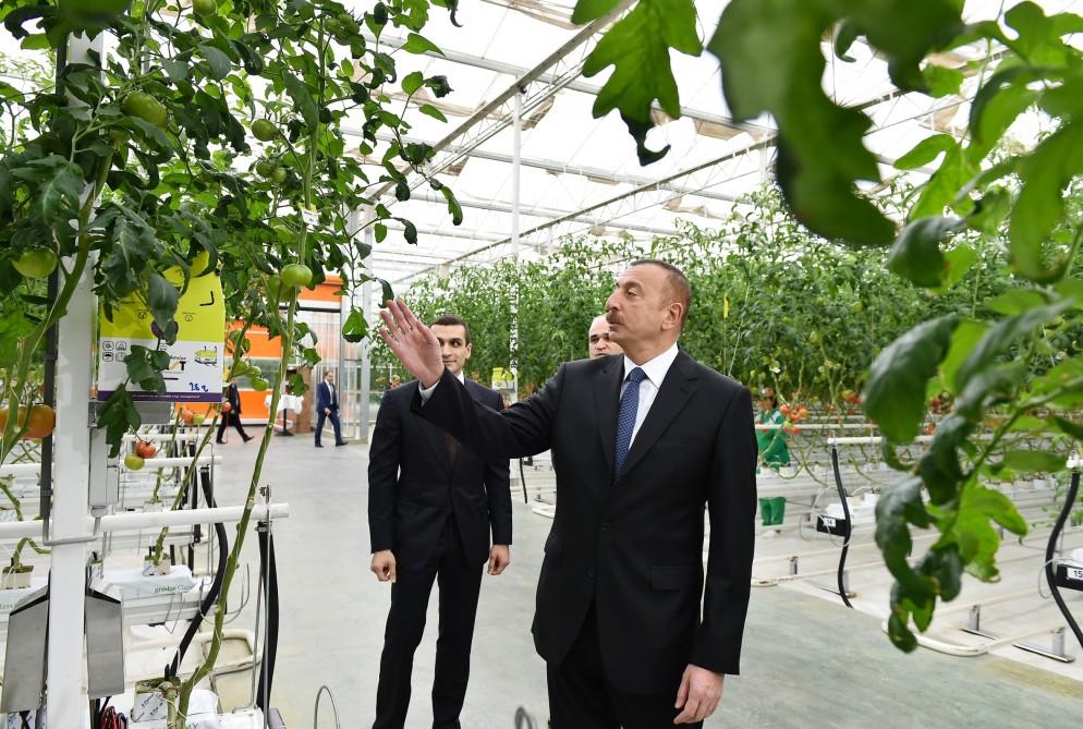 Prezident İlham Əliyev Zirə qəsəbəsində “BAKU AGROPARK”da görülən işlərlə tanış olub (FOTO) (YENİLƏNİB-2)