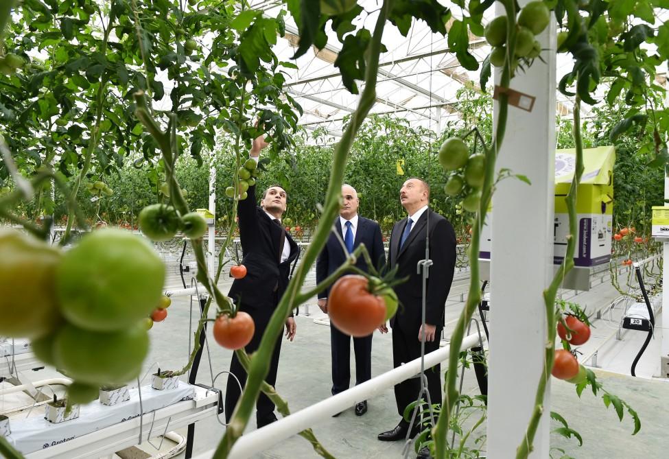 Prezident İlham Əliyev Zirə qəsəbəsində “BAKU AGROPARK”da görülən işlərlə tanış olub (FOTO) (YENİLƏNİB-2)