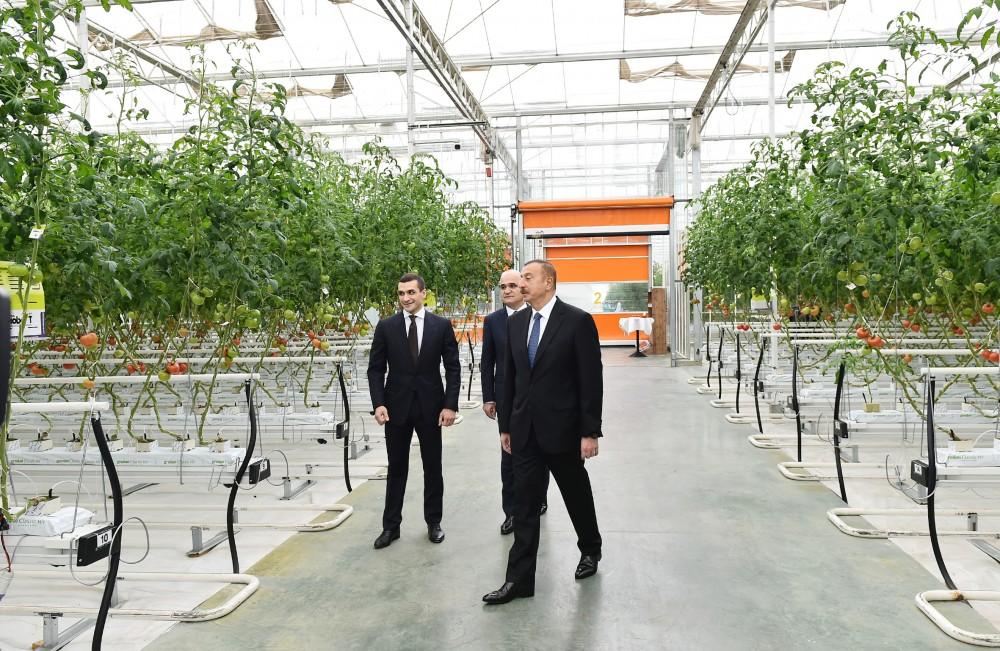 Prezident İlham Əliyev Zirə qəsəbəsində “BAKU AGROPARK”da görülən işlərlə tanış olub (FOTO) (YENİLƏNİB-2)