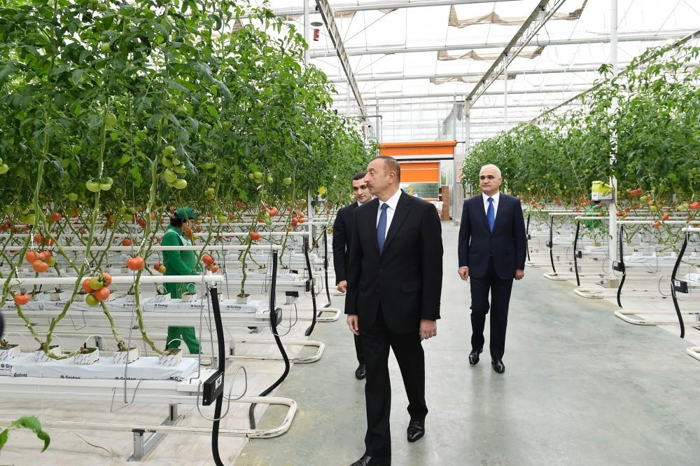 Prezident İlham Əliyev Zirə qəsəbəsində “BAKU AGROPARK”da görülən işlərlə tanış olub (FOTO) (YENİLƏNİB-2)