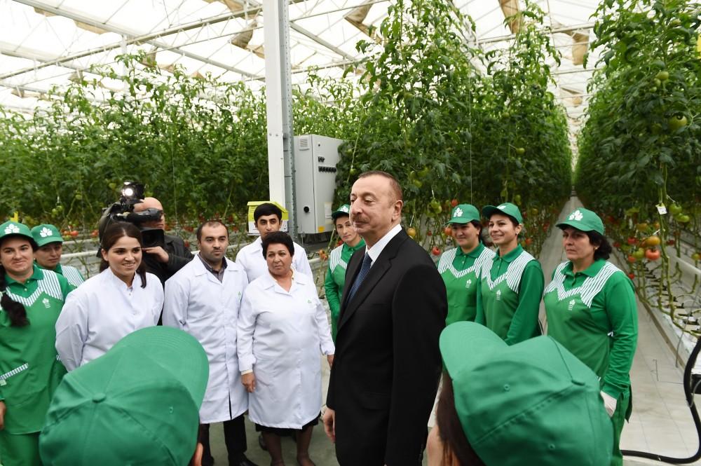 Prezident İlham Əliyev: Azərbaycanın ixrac imkanları qat-qat artacaq