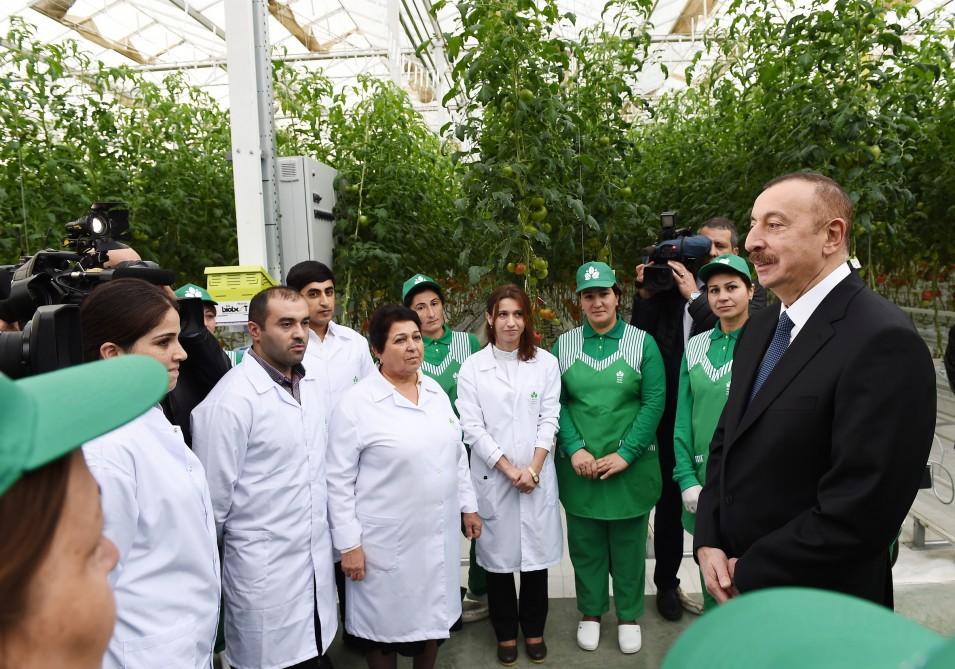 Prezident İlham Əliyev Zirə qəsəbəsində “BAKU AGROPARK”da görülən işlərlə tanış olub (FOTO) (YENİLƏNİB-2)
