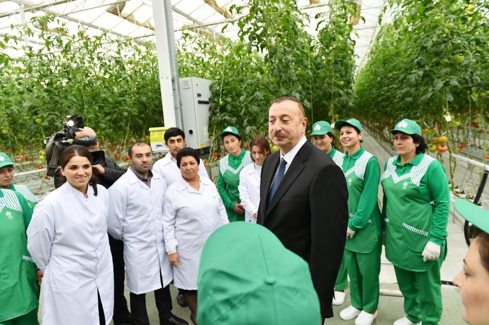 Prezident İlham Əliyev Zirə qəsəbəsində “BAKU AGROPARK”da görülən işlərlə tanış olub (FOTO) (YENİLƏNİB-2)
