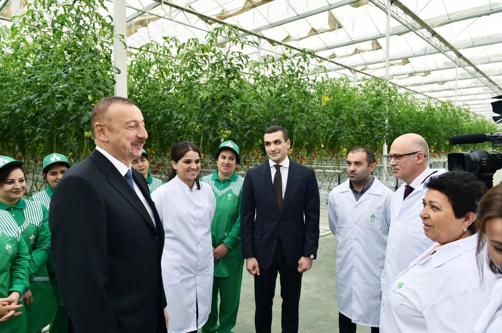 Prezident İlham Əliyev Zirə qəsəbəsində “BAKU AGROPARK”da görülən işlərlə tanış olub (FOTO) (YENİLƏNİB-2)