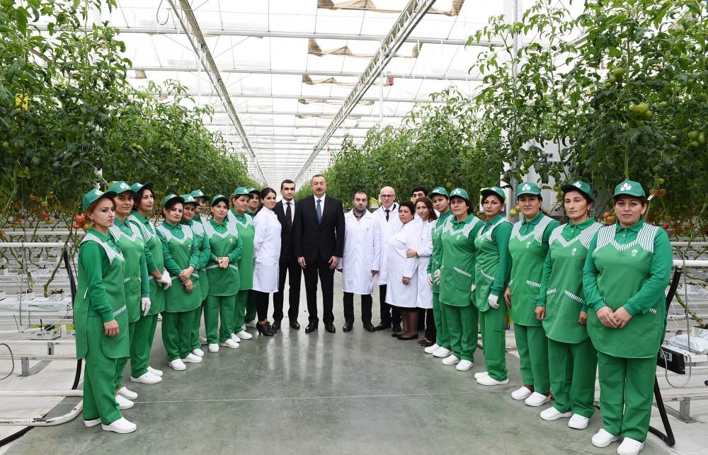 Prezident İlham Əliyev Zirə qəsəbəsində “BAKU AGROPARK”da görülən işlərlə tanış olub (FOTO) (YENİLƏNİB-2)