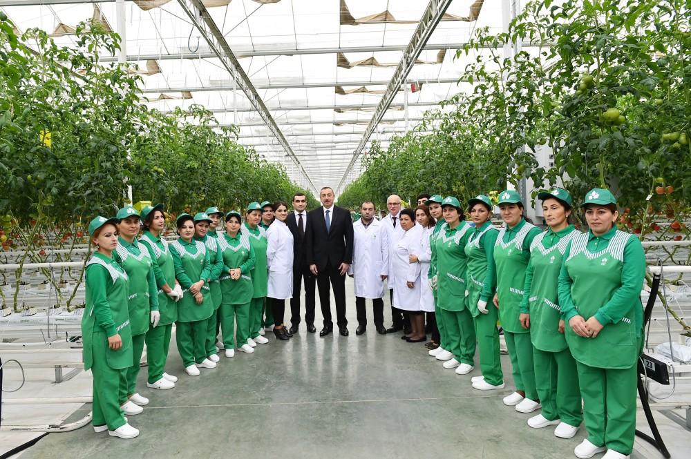 Prezident İlham Əliyev Zirə qəsəbəsində “BAKU AGROPARK”da görülən işlərlə tanış olub (FOTO) (YENİLƏNİB-2)