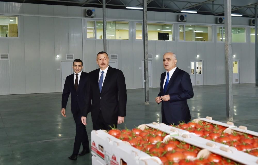 Prezident İlham Əliyev Zirə qəsəbəsində “BAKU AGROPARK”da görülən işlərlə tanış olub (FOTO) (YENİLƏNİB-2)