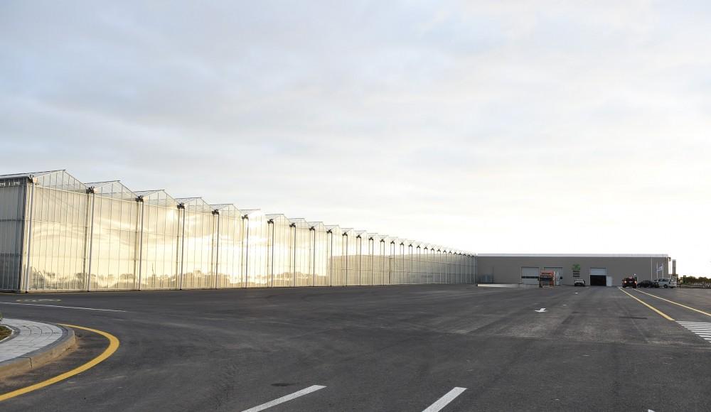 Prezident İlham Əliyev Zirə qəsəbəsində “BAKU AGROPARK”da görülən işlərlə tanış olub (FOTO) (YENİLƏNİB-2)