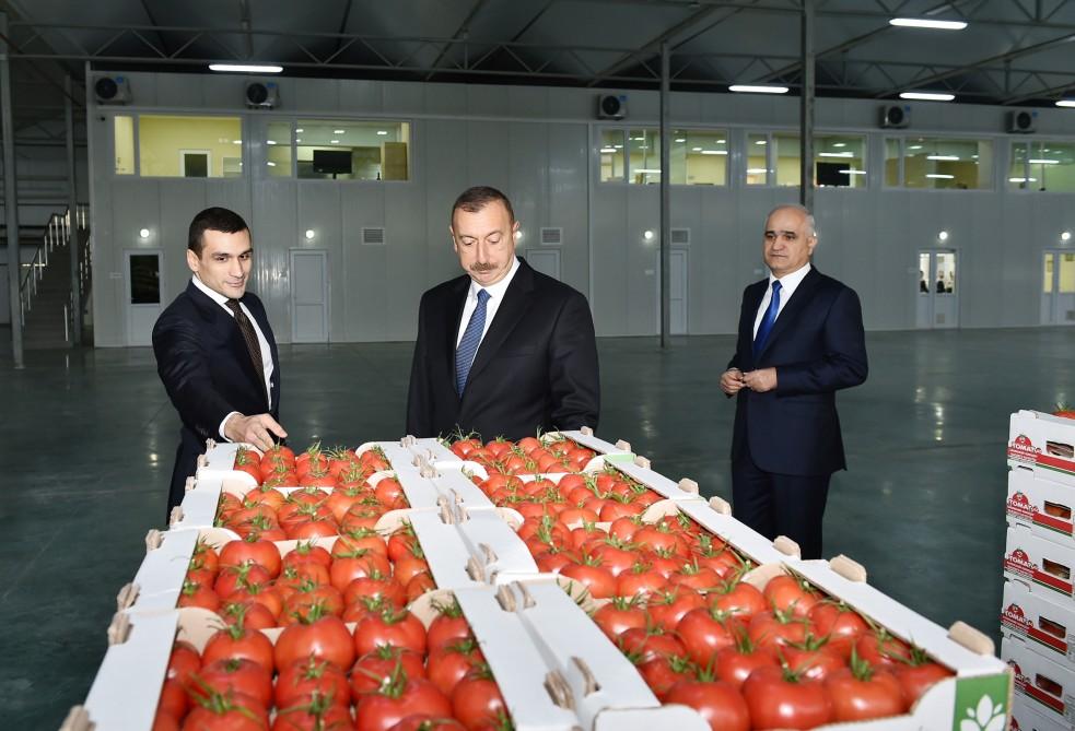 Prezident İlham Əliyev Zirə qəsəbəsində “BAKU AGROPARK”da görülən işlərlə tanış olub (FOTO) (YENİLƏNİB-2)