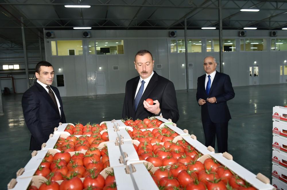 Prezident İlham Əliyev Zirə qəsəbəsində “BAKU AGROPARK”da görülən işlərlə tanış olub (FOTO) (YENİLƏNİB-2)