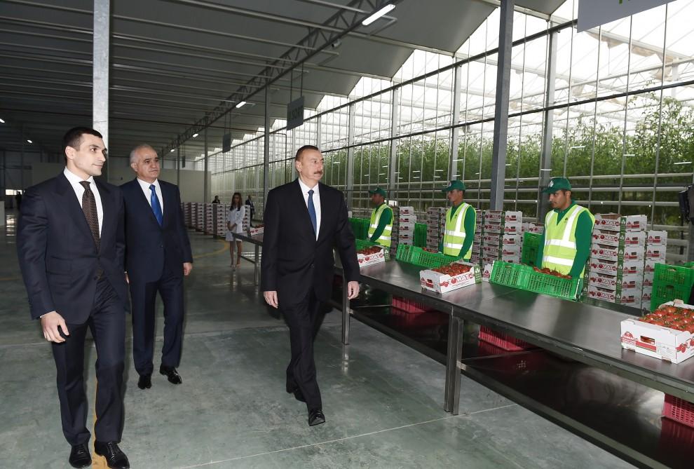 Prezident İlham Əliyev Zirə qəsəbəsində “BAKU AGROPARK”da görülən işlərlə tanış olub (FOTO) (YENİLƏNİB-2)