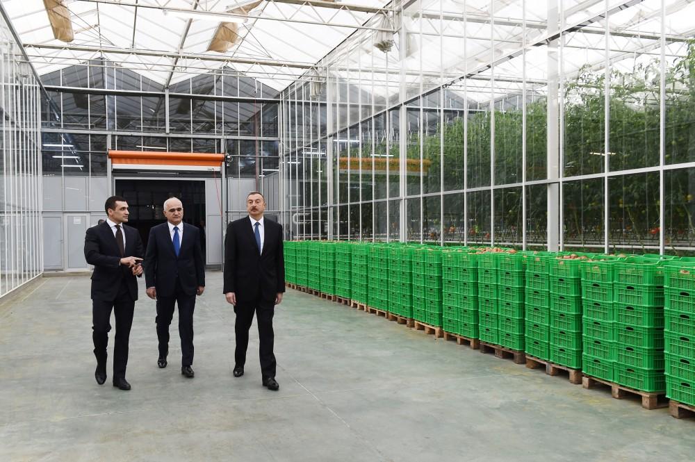 Prezident İlham Əliyev Zirə qəsəbəsində “BAKU AGROPARK”da görülən işlərlə tanış olub (FOTO) (YENİLƏNİB-2)