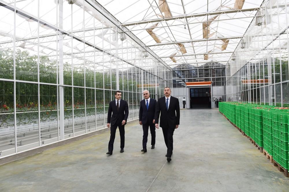 Prezident İlham Əliyev Zirə qəsəbəsində “BAKU AGROPARK”da görülən işlərlə tanış olub (FOTO) (YENİLƏNİB-2)