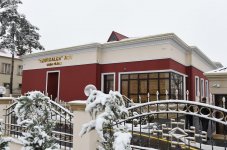 Prezident İlham Əliyev: Azərbaycanın müxtəlif yerlərində əlavə on xalça fabriki açılacaq (YENİLƏNİB) (FOTO)