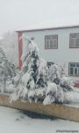 Lerikdə qarın hündürlüyü 35 santimetrə çatdı (FOTO)
