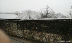 Şəkidə güclü qar başladı (FOTO/VİDEO)