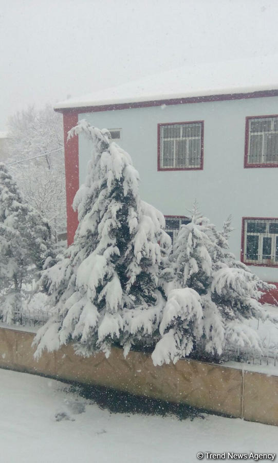 Lerikdə qarın hündürlüyü 35 santimetrə çatdı (FOTO)